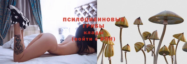 мдпв Наволоки