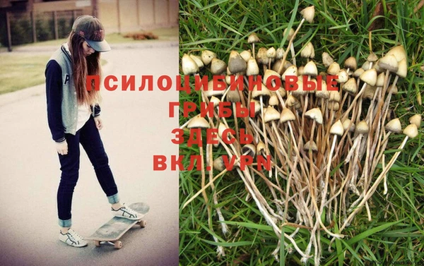 2c-b Навашино