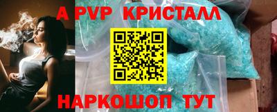 шишки Изобильный
