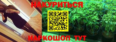 шишки Изобильный
