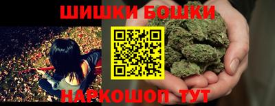 шишки Изобильный